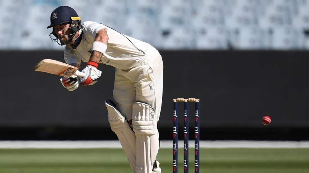 Glenn Maxwell of Victoria