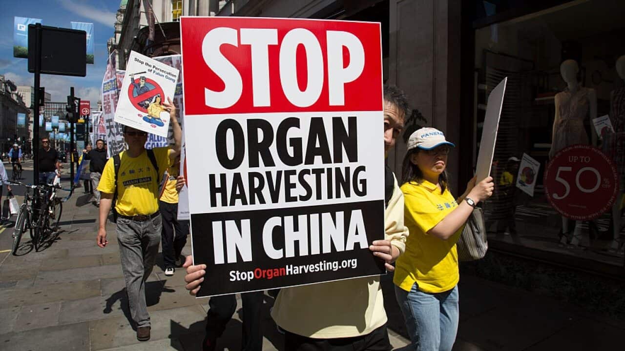 Members of Falun Gong or Falun Dafa protest the alleged improsonment, torture and organ harvesting of fellow members in China.