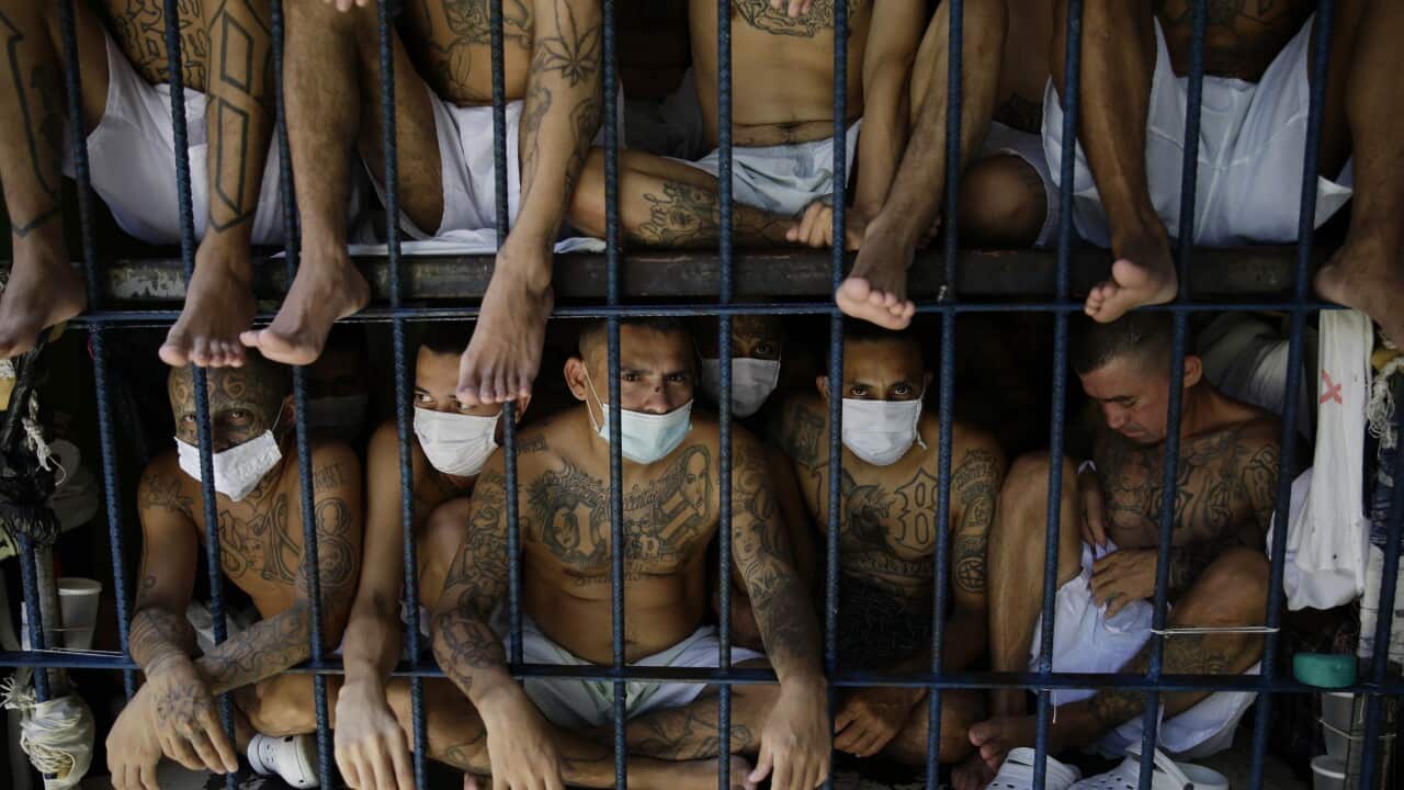 Image for read more article 'READ MORE'