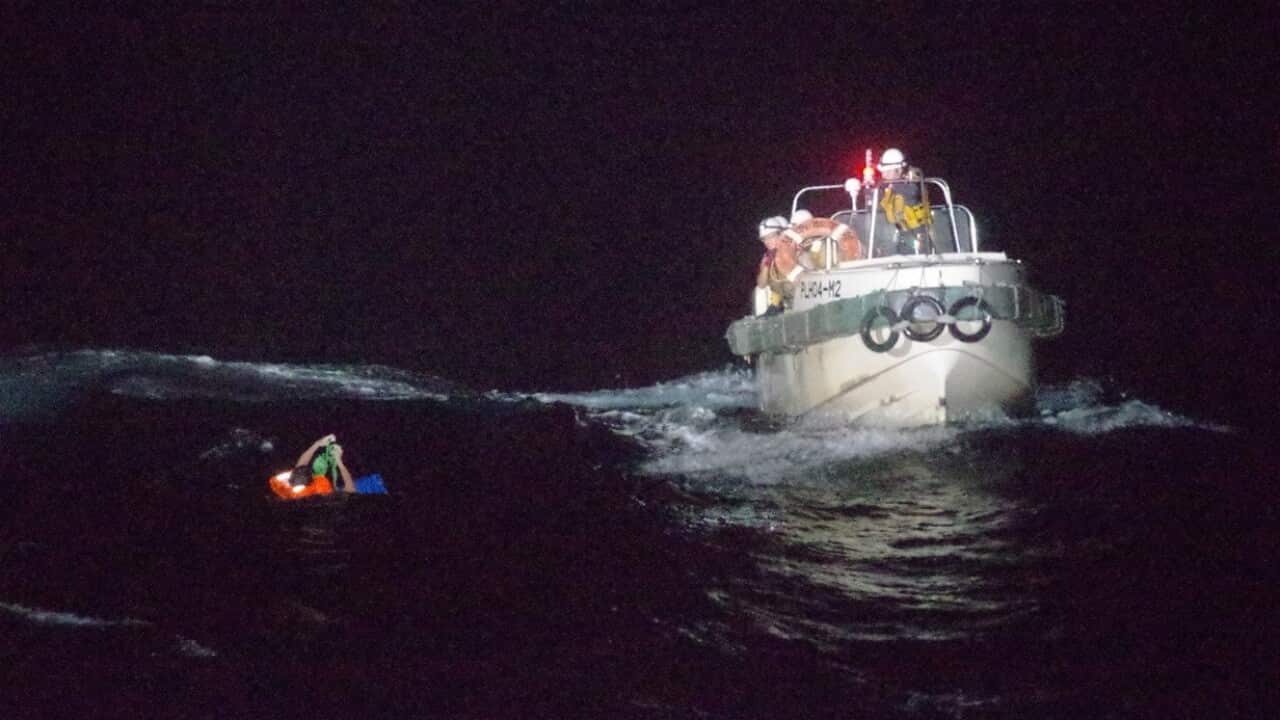 cattle ship
