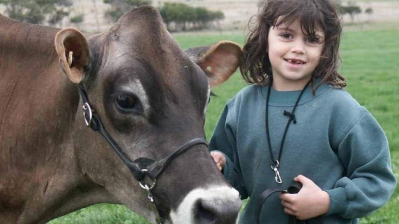 Image for read more article 'Related'