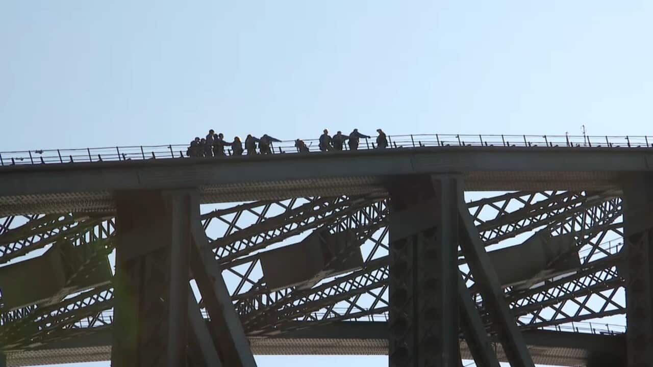 Climbers on Sydney Harbour Bridge