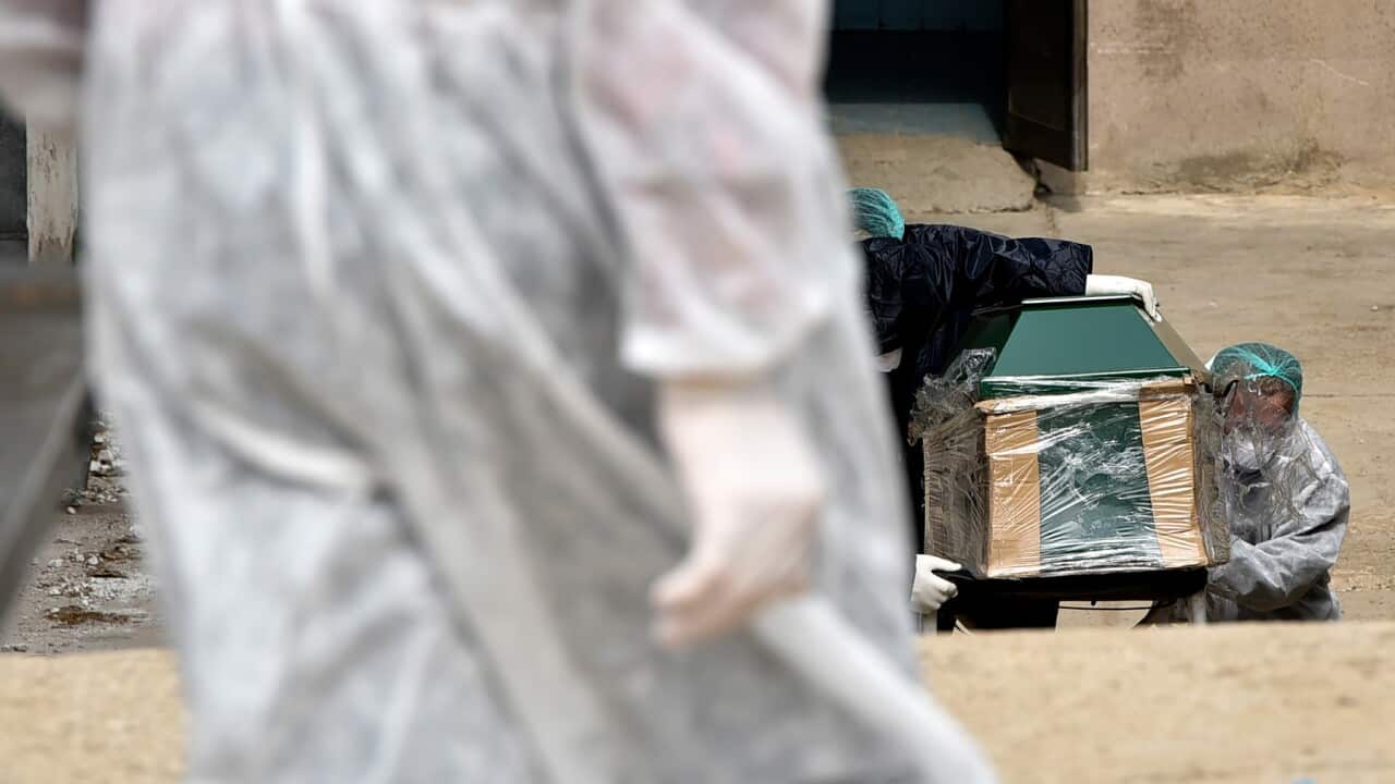 SBS News in Macedonian 14 April 2020,