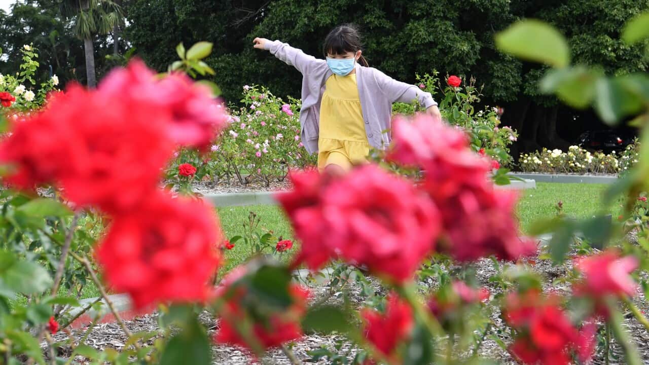 There are currently no coronavirus vaccines available for children aged 12-15.