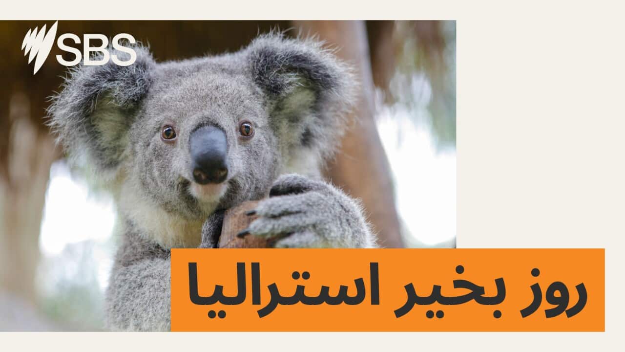 Image for read more article 'مطالب بیشتر:'