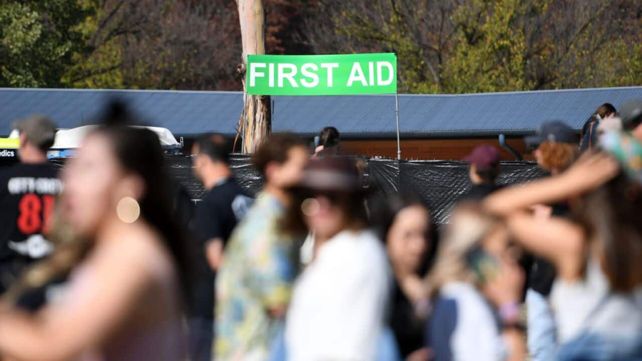 Successful pill testing trial shows practice is 'viable' and 'relevant