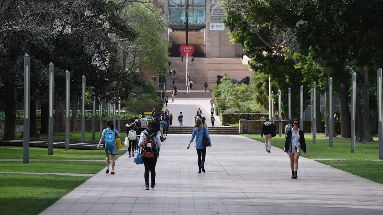 노동당 정부, ‘HECS 대출 지수 적용 방식’ 변경 검토 SBS Korean