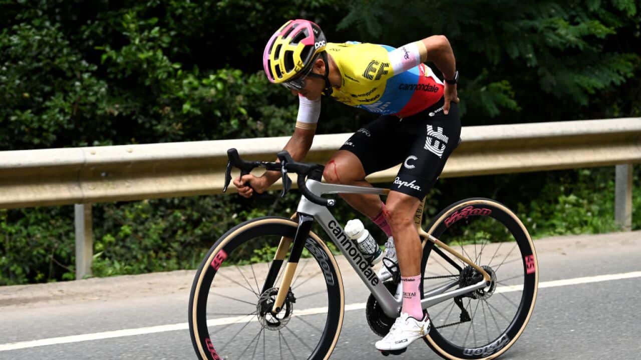 Image for read more article 'READ MORE'