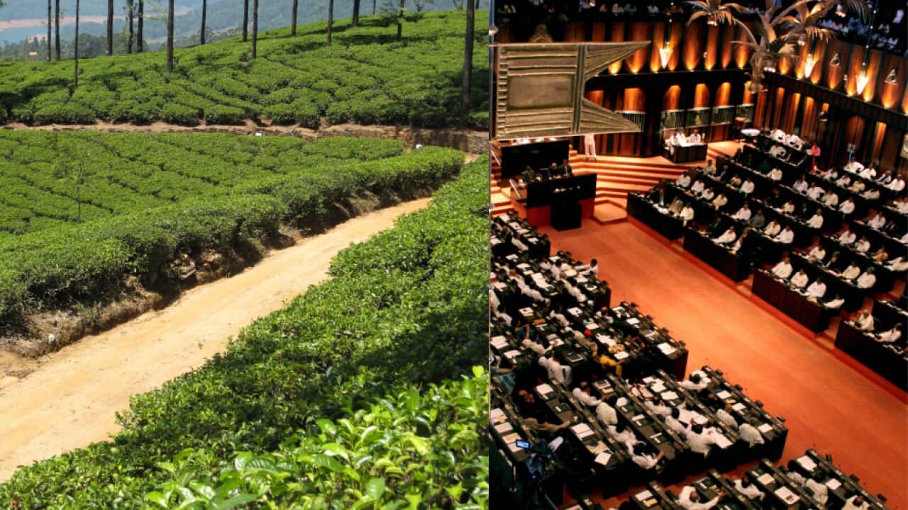 Sri Lanka Report.jpg