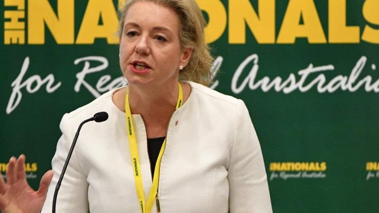 Minister for Sport Bridget McKenzie
