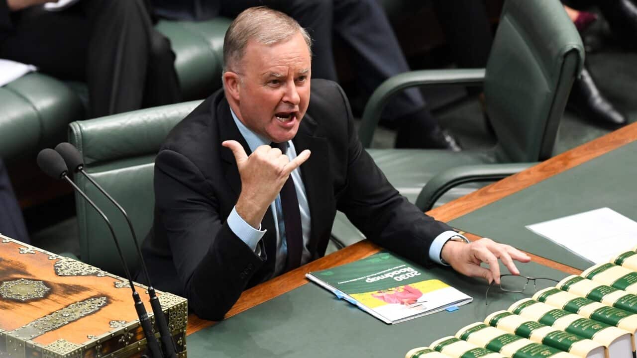 Australian Opposition Leader Anthony Albanese reacts during Question Time at Parliament