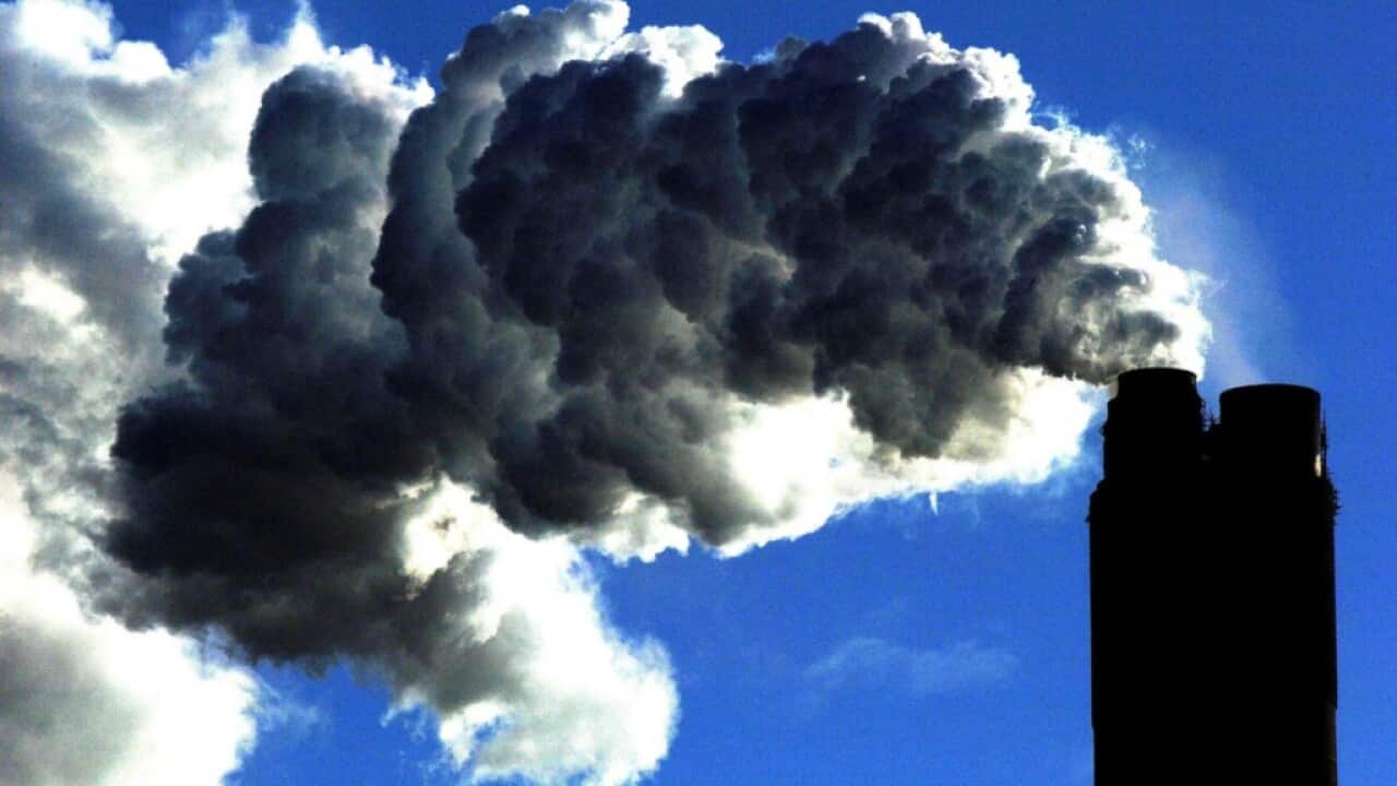 Coal fired power plant