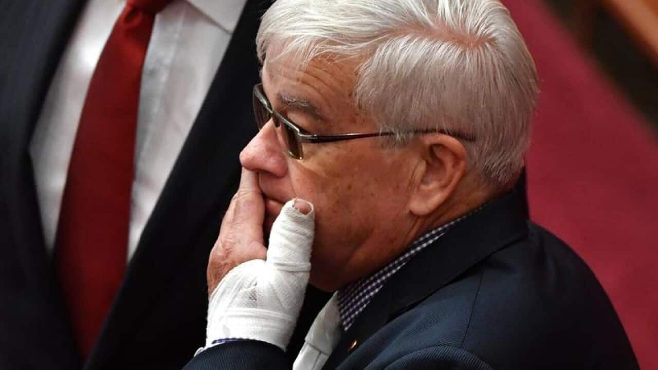 The alleged clash between Brian Burston (pictured) and One Nation's James Ashby led to the One Nation staffer being booted from parliament.