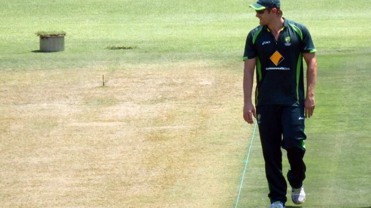 Shane Watson inspects the Port Elizabeth pitch