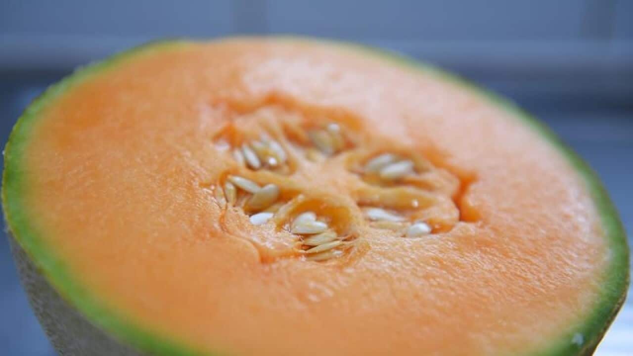 A file image of a rockmelon on a kitchen bench in Sydney.