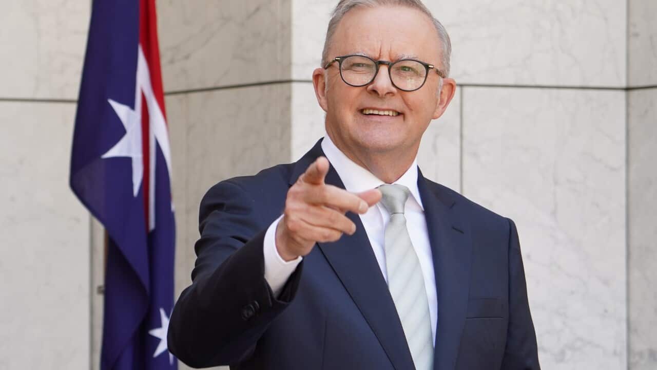ANTHONY ALBANESE PRESSER