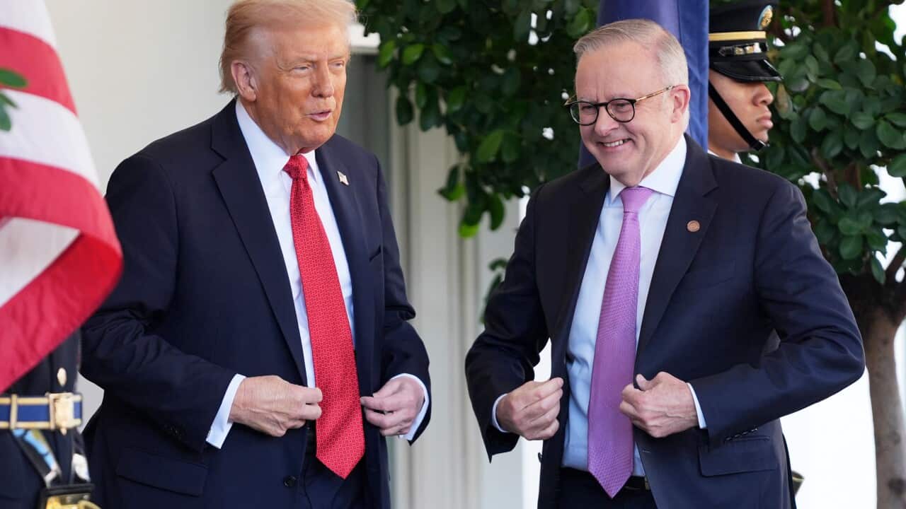 Donald Trump,Anthony Albanese