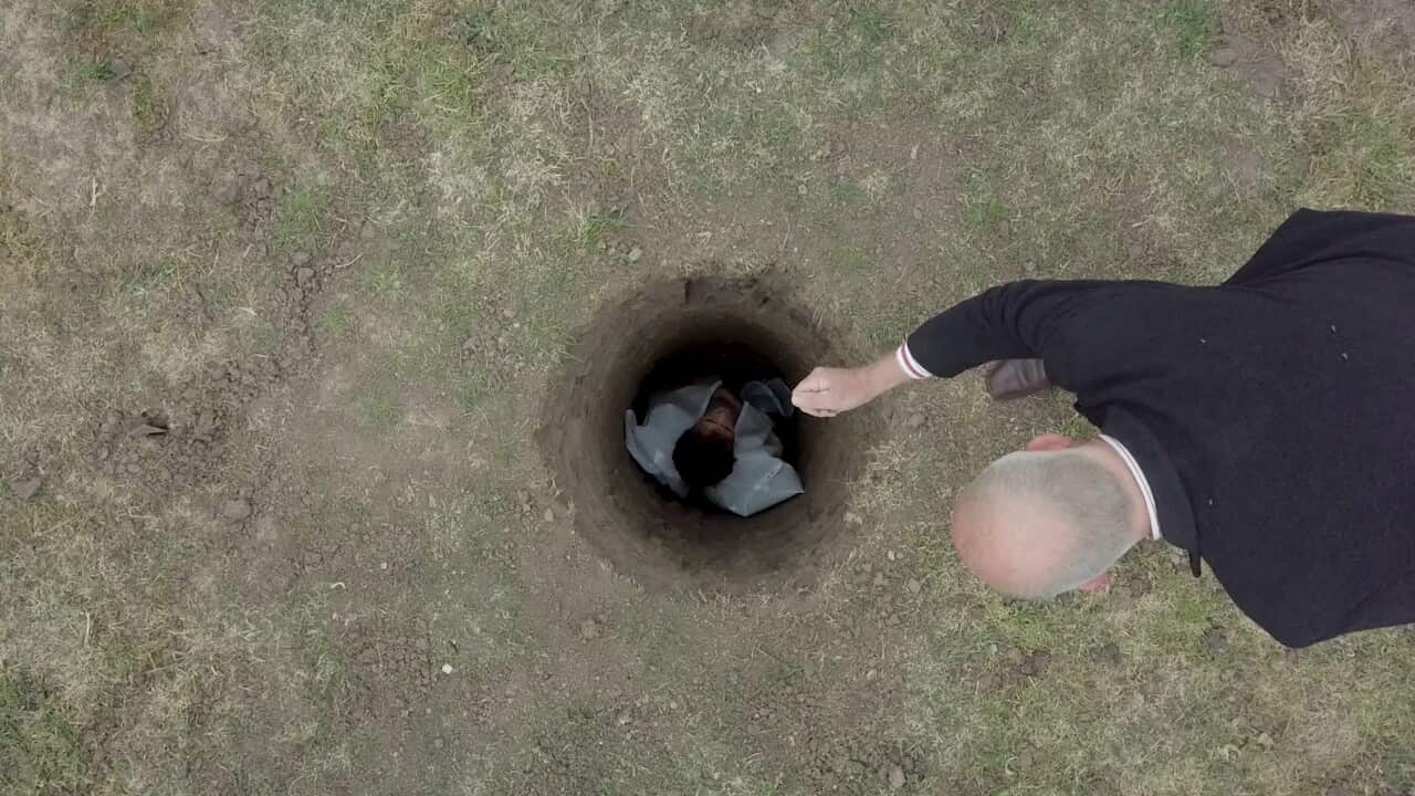 Image for read more article 'READ MORE'