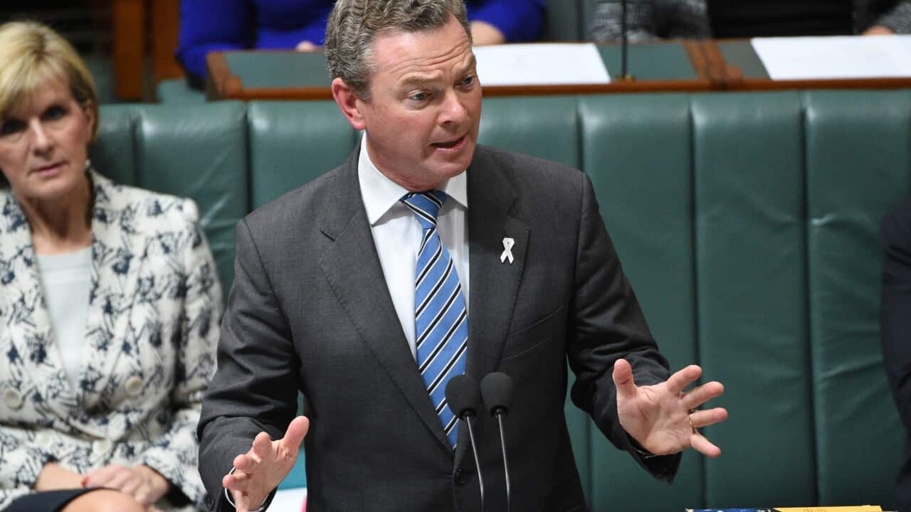 Minister for Industry Christopher Pyne