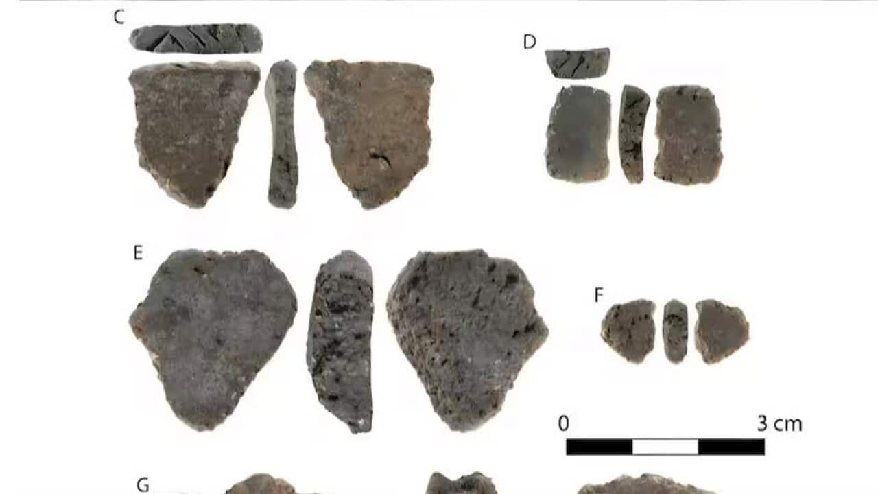artefacts.jpg