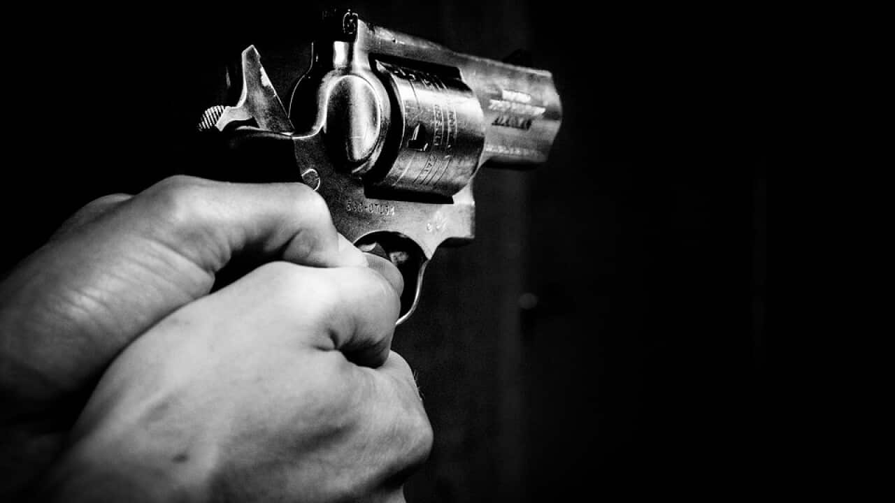 gun