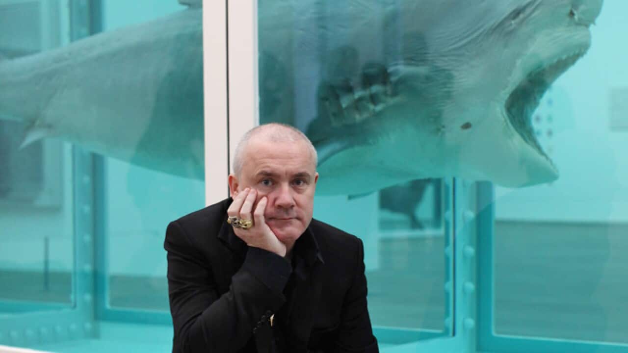Hirst_shark_120403_B_getty_574333508