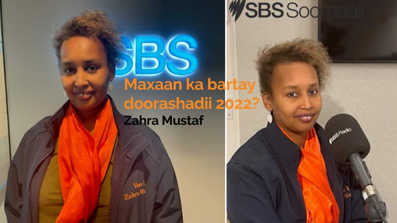 Maxaan ka bartay doorashadii 2022 Zahra Mustaf.png