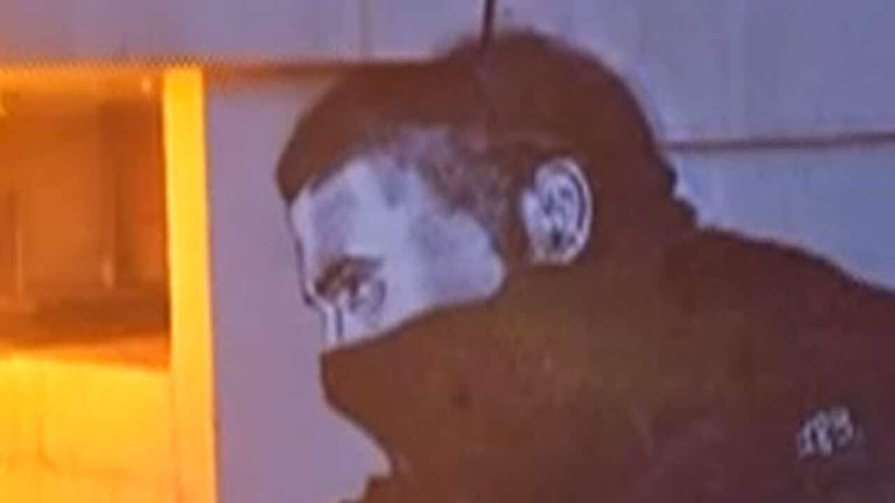 pavel_183_120209_bbc_586733748