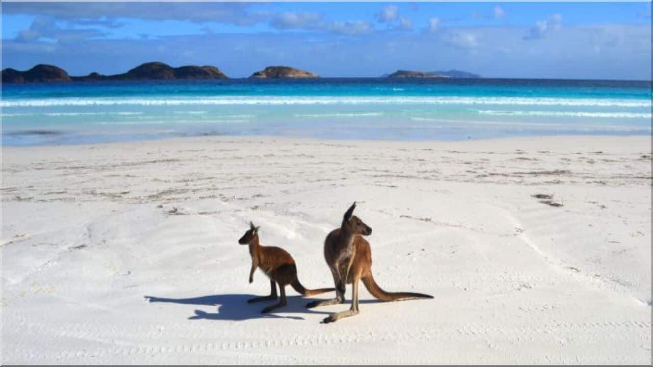 Esperance and Cape Le Grand National Park.