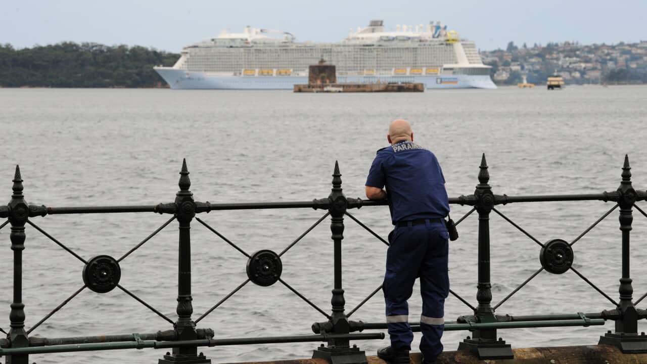 A paramedic on standby watches cruise ship Spectrum of the Seas as it berths in Sydney Harbour.