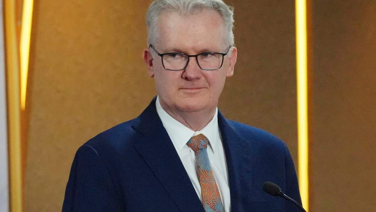 Tony Burke,Yusril Ihza Mahendra