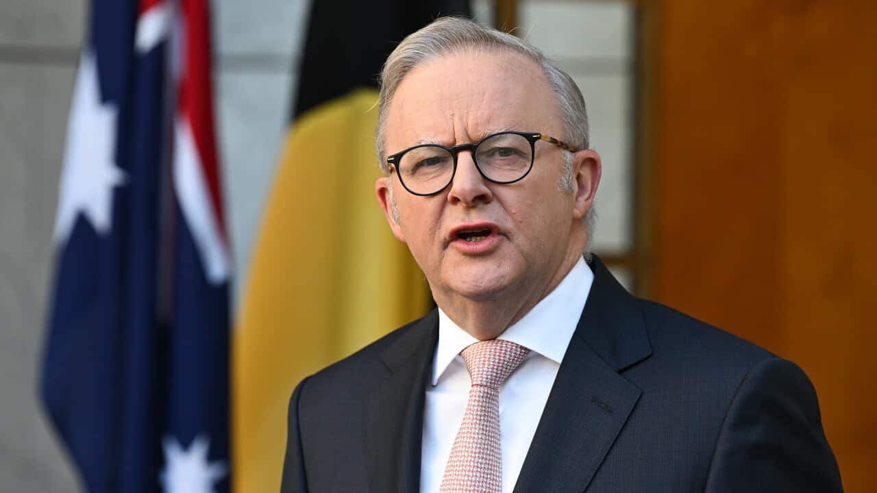 ‘Tomorrow or nothing?’: PM issues ultimatum on Bondi reforms as parliament returns ‘Tomorrow or nothing?’: PM issues ultimatum on Bondi reforms as parliament returns