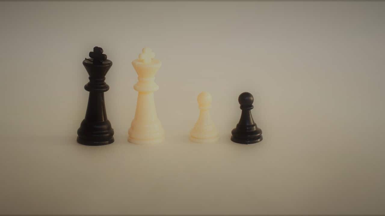 Photograph of some chess pieces that distinguish a homoparental family composed of two parents and two children