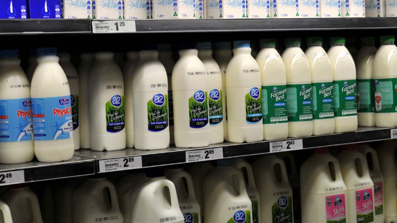 Milk in a supermarket