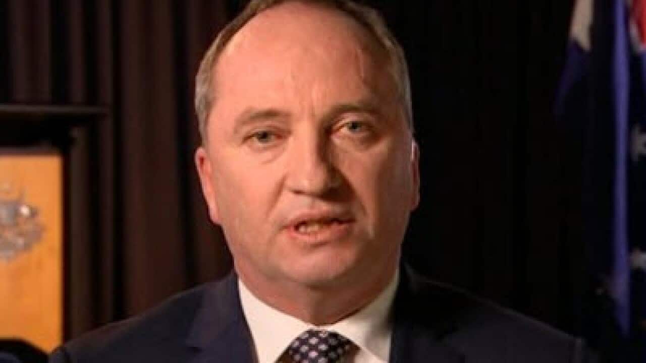 Deputy Prime Minister Barnaby Joyce