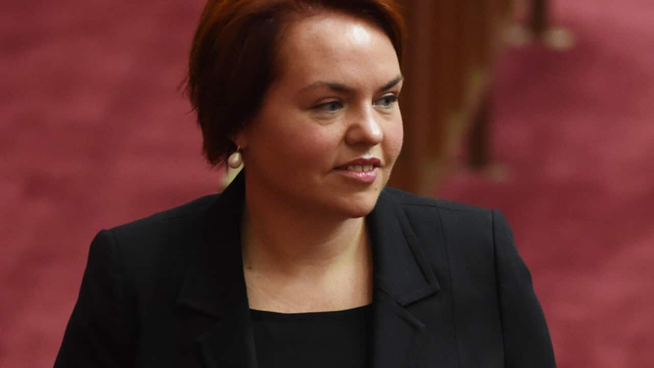 New Labor senator Kimberley Kitching