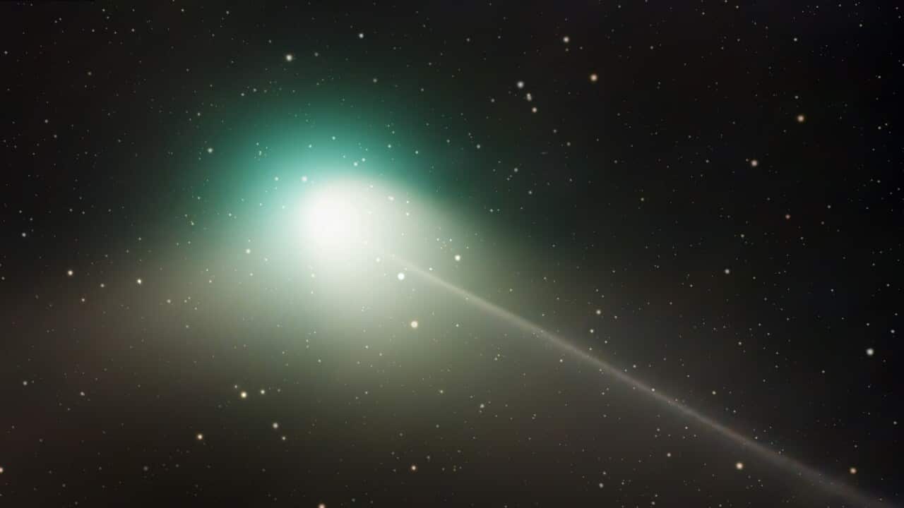 Comet C/2022 E3 (ZTF) The Green Comet