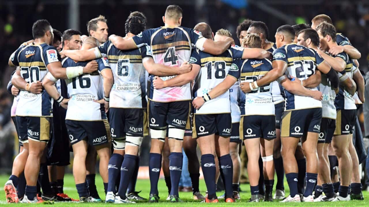Brumbies players