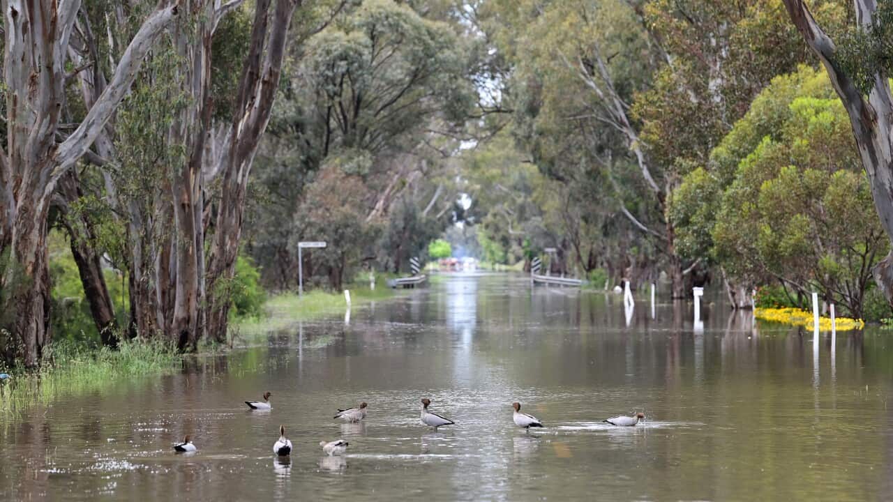 VIC FLOODS
