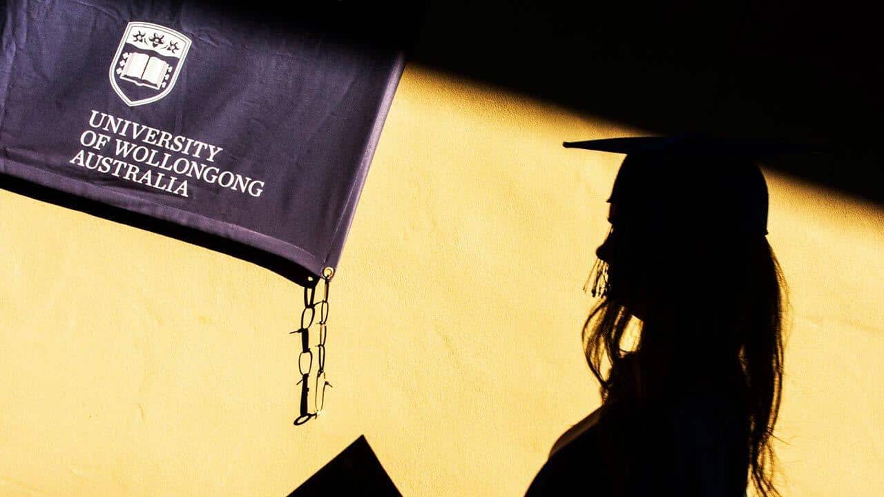 Wollongong university will become the first in Australia to offer the course.