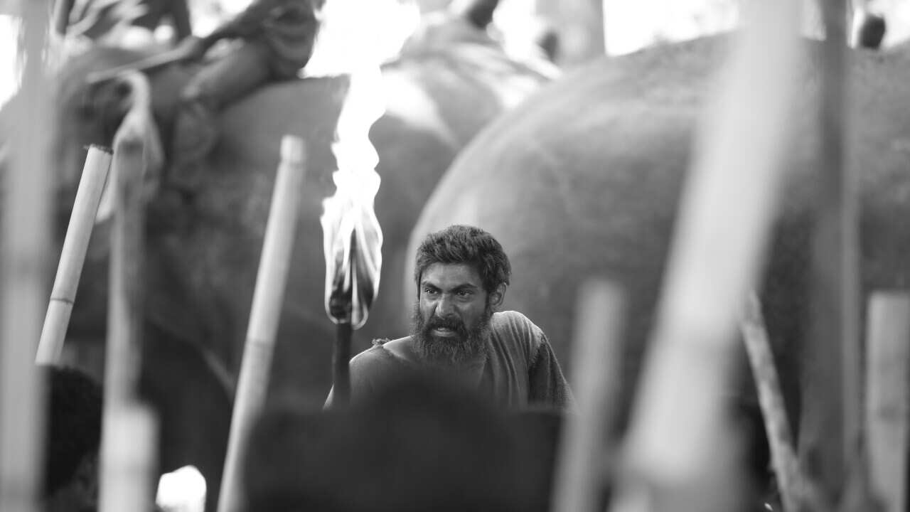 Rana Daggubati during the shoot of Haathi Mere Saathi