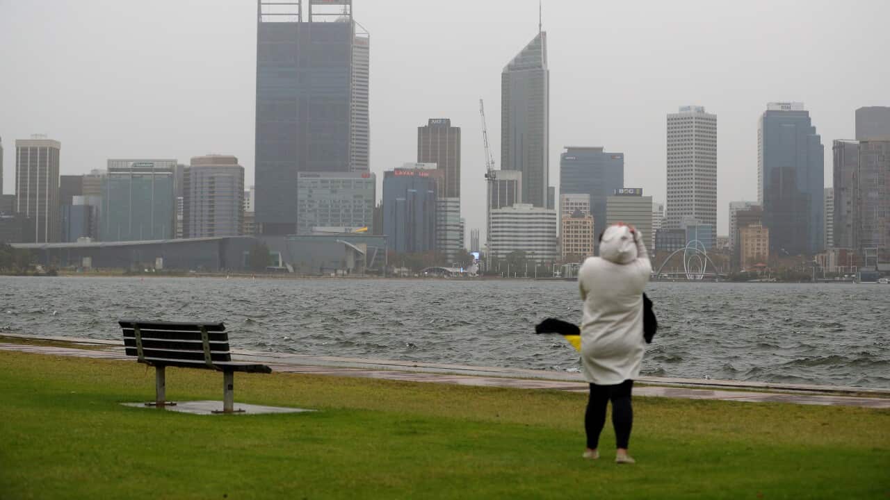 WILD WEATHER WA