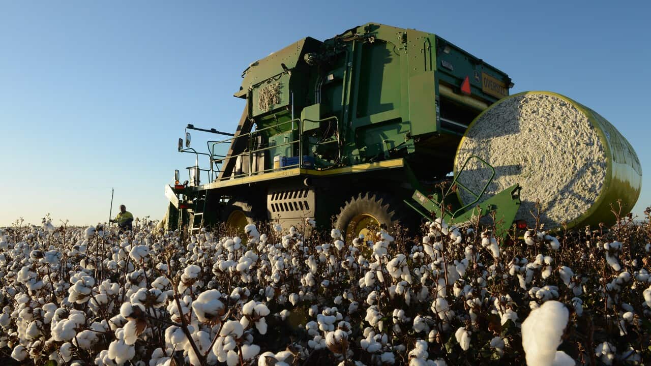 Image for read more article '更多內容'