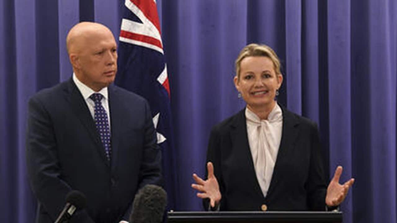 newly_elected_leader_of_the_liberal_party_peter_dutton_and_newly_elected_deputy_leader_of_the_liberal_party_sussan_ley.jpg