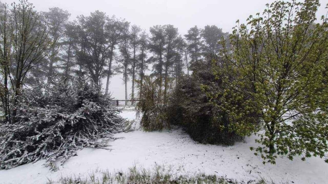Snow has fallen around the Central and Southern Tablelands.