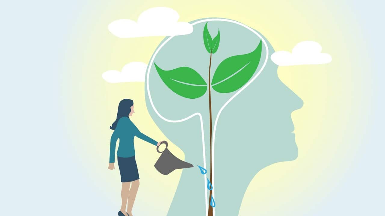 Mindset Concept.Watering plants with big brain growth mindset concept.