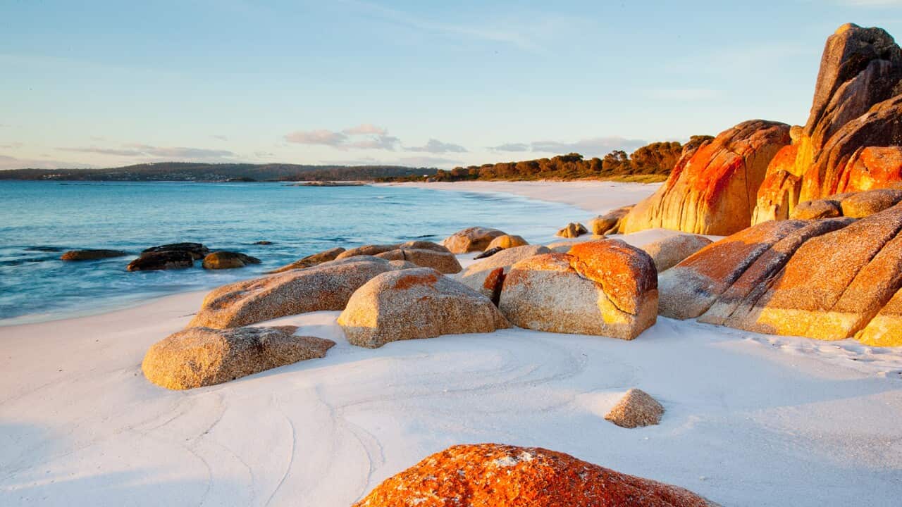 Image for read more article 'ΔΕΙΤΕ ΑΚΟΜΗ'