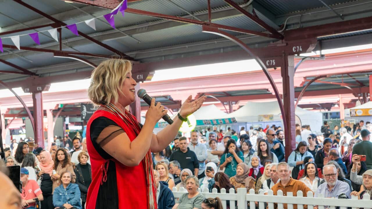 Turkish Festival 2024-471.jpg