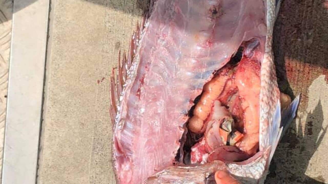 Image for read more article 'READ MORE'