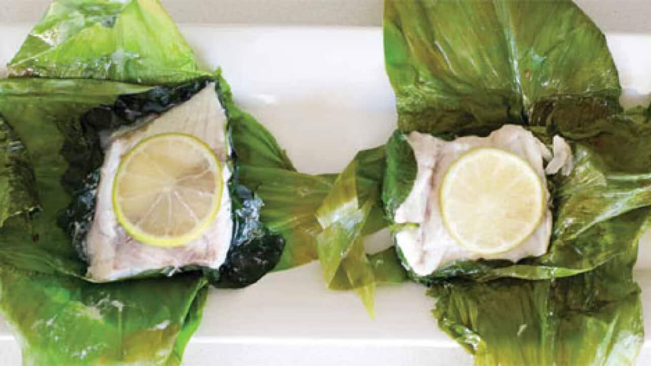 barramundi_1571817249